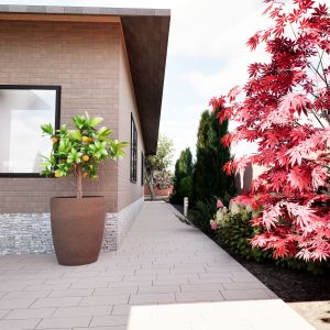 Ландшафтный проект