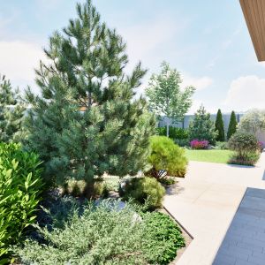 Ландшафтный проект