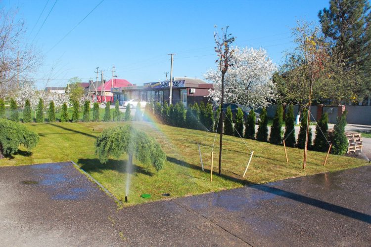 Высадка живой изгороди и укладка рулонного газона